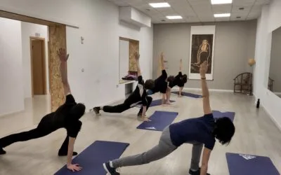 Entrenamiento Funcional para las Artes Marciales: Movilidad, Equilibrio y Fuerza en la Práctica del Wing Chun