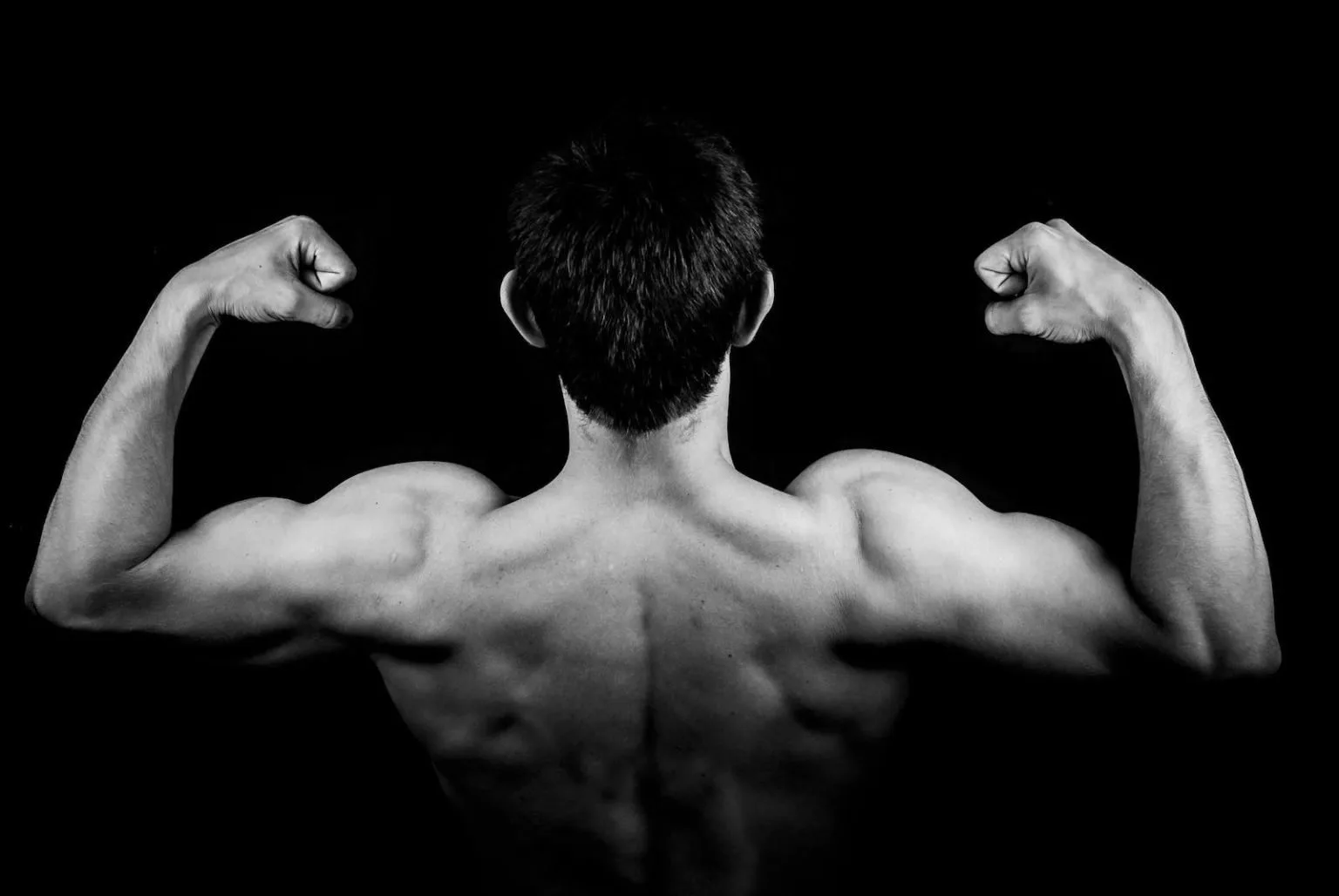 back muscles view